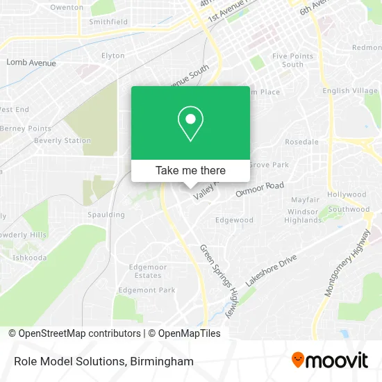 Role Model Solutions map
