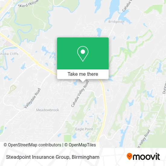 Steadpoint Insurance Group map