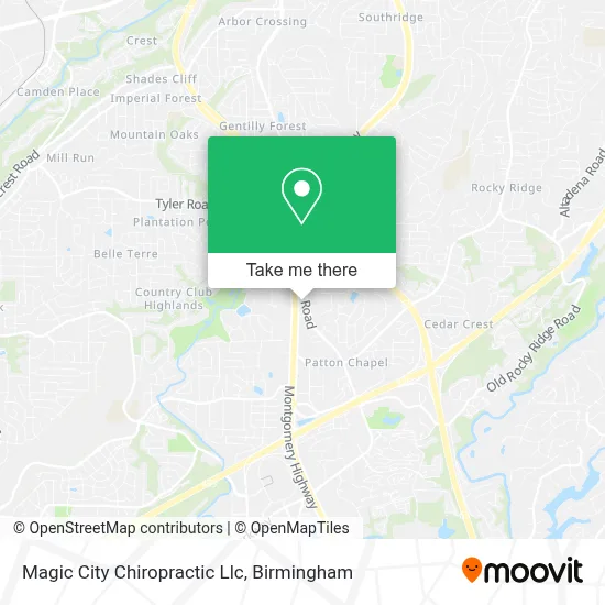 Magic City Chiropractic Llc map