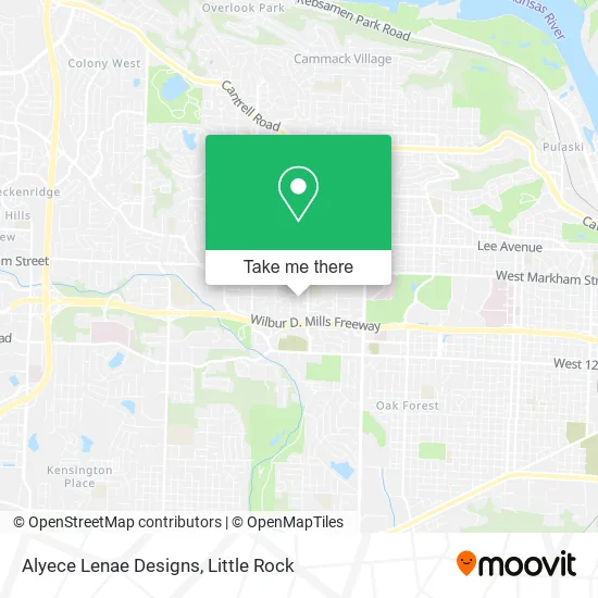 Alyece Lenae Designs map