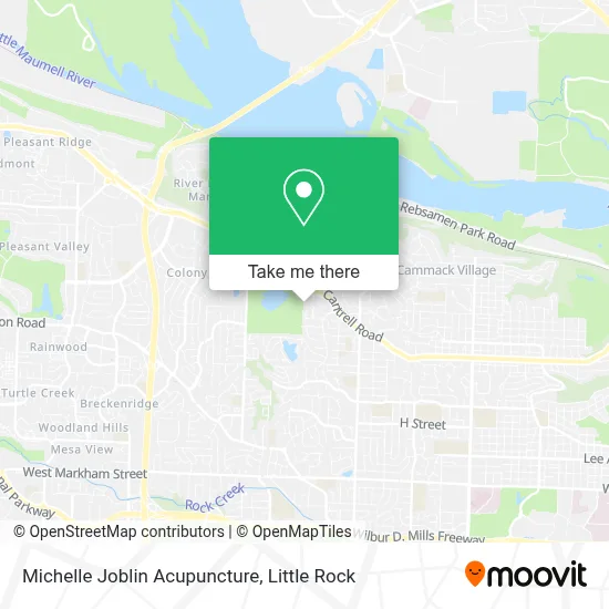 Michelle Joblin Acupuncture map