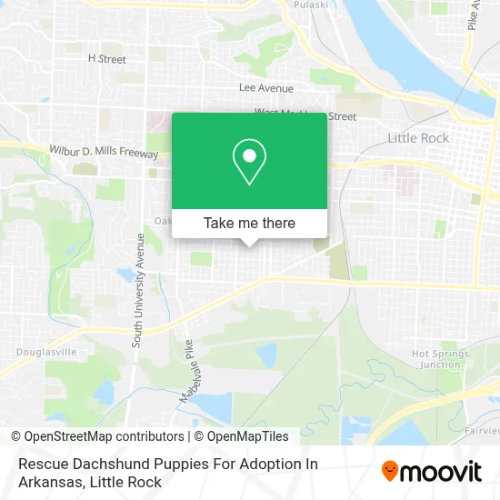 Rescue Dachshund Puppies  For Adoption In Arkansas map
