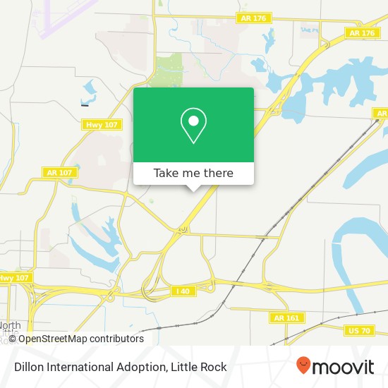 Dillon International Adoption map