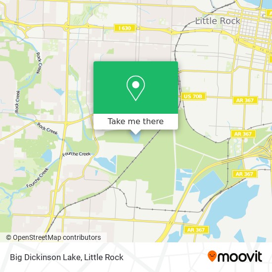 Big Dickinson Lake map