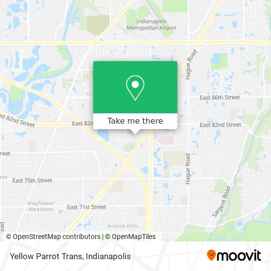 Yellow Parrot Trans map