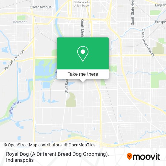 Mapa de Royal Dog (A Different Breed Dog Grooming)