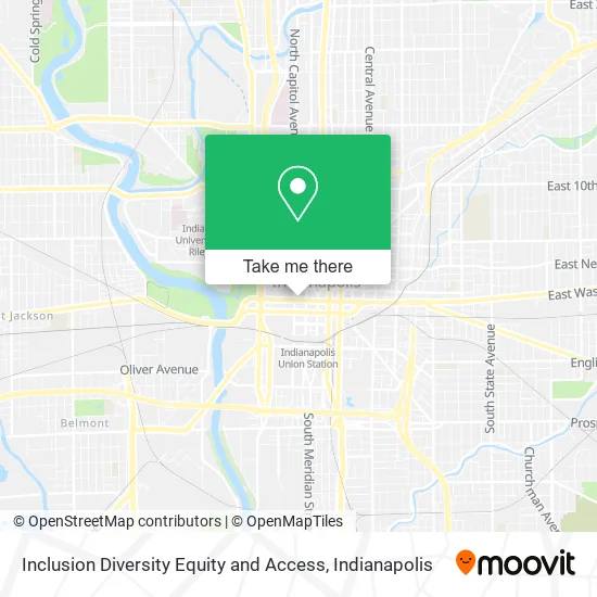Inclusion Diversity Equity and Access map