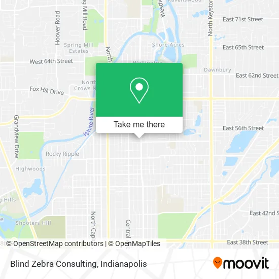 Blind Zebra Consulting map