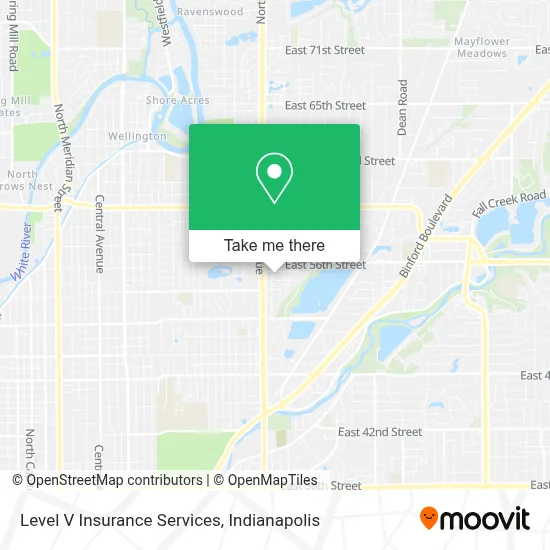 Level V Insurance Services map