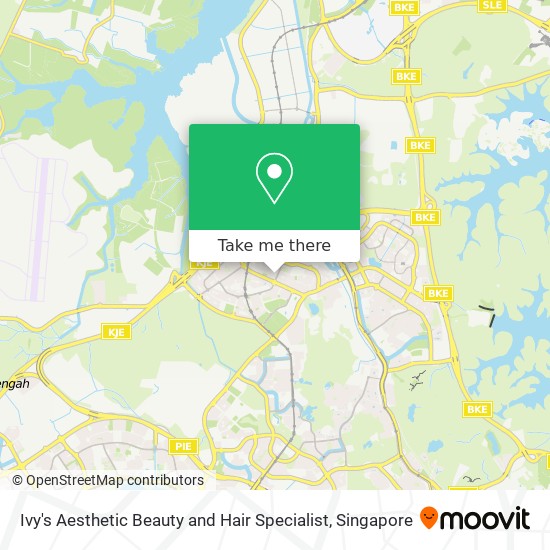 Ivy's Aesthetic Beauty and Hair Specialist map