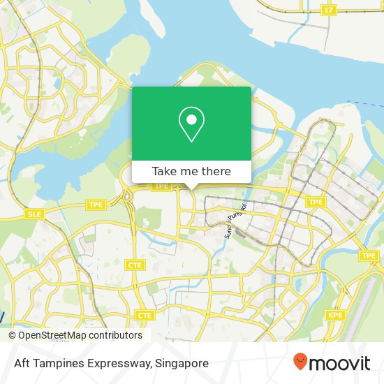 Aft Tampines Expressway map