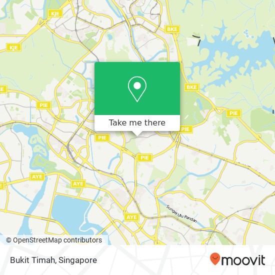 Bukit Timah地图