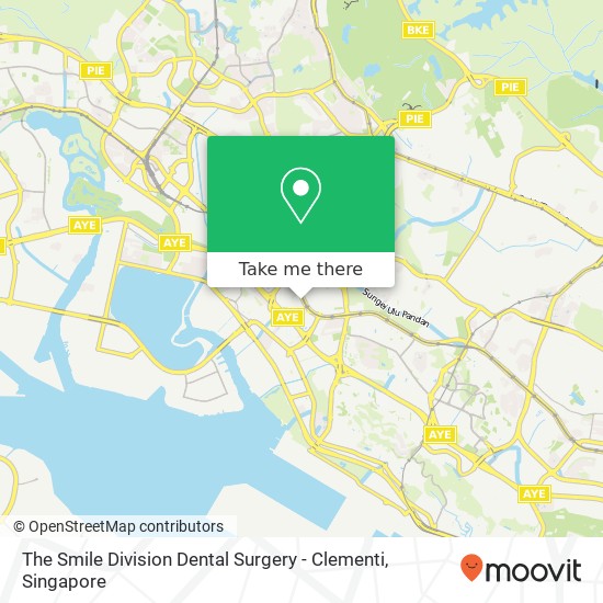 The Smile Division Dental Surgery - Clementi map