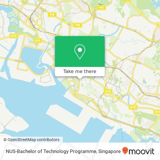 NUS-Bachelor of Technology Programme map