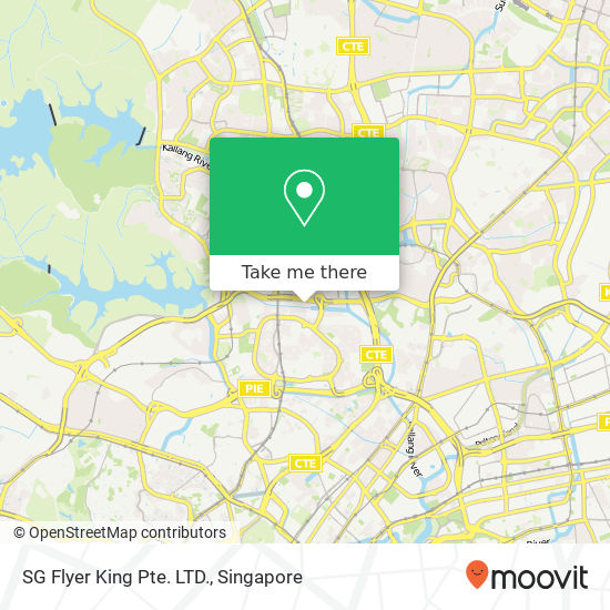 SG Flyer King Pte. LTD. map