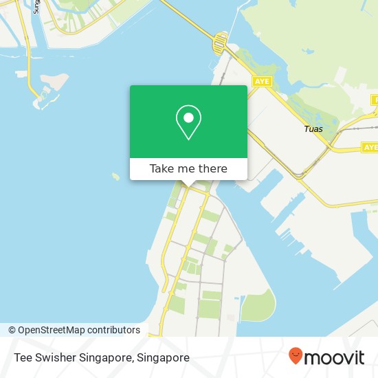 Tee Swisher Singapore map
