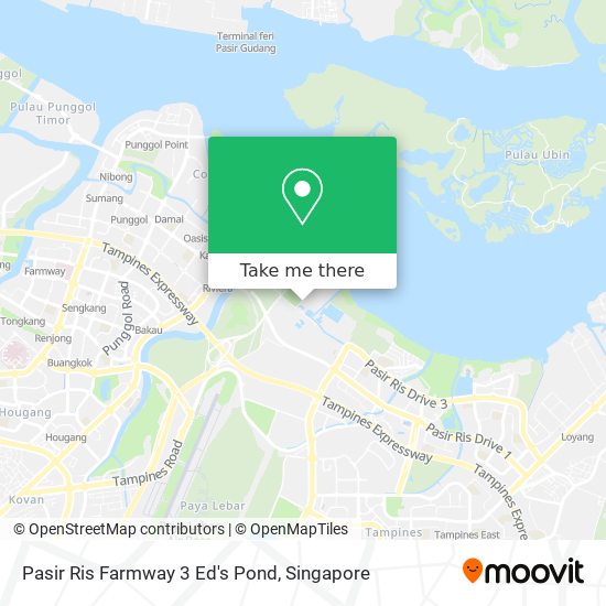 Pasir Ris Farmway 3 Ed's Pond地图