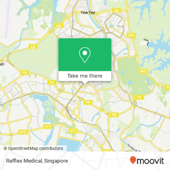 Raffles Medical地图