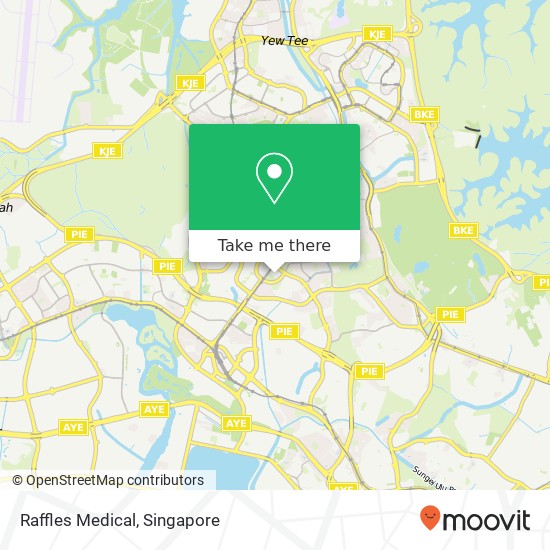 Raffles Medical map