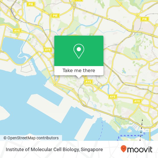 Institute of Molecular Cell Biology map