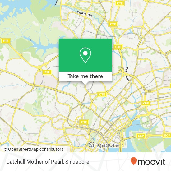 Catchall Mother of Pearl map