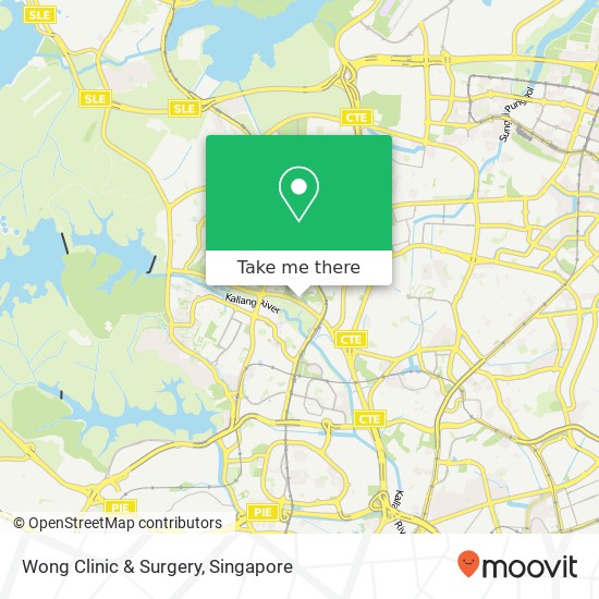 Wong Clinic & Surgery map