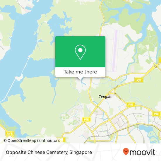 Opposite Chinese Cemetery地图