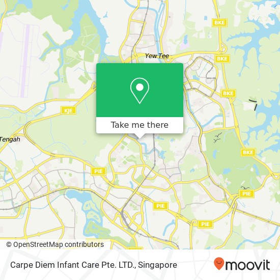 Carpe Diem Infant Care Pte. LTD. map