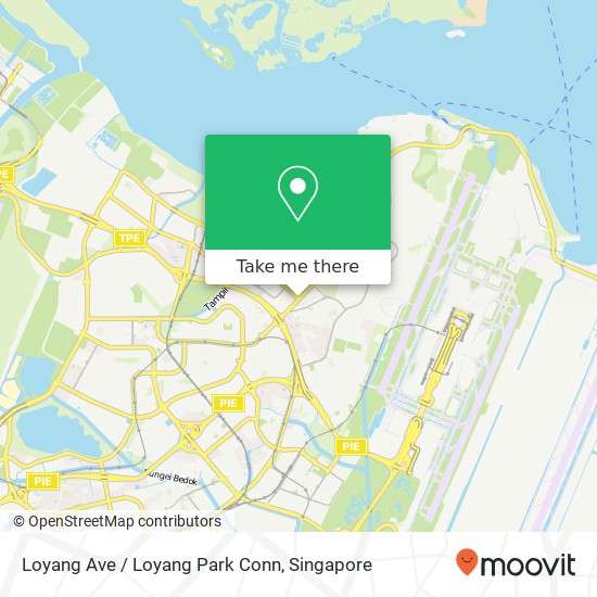 Loyang Ave / Loyang Park Conn map