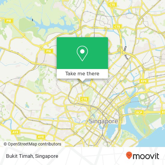 Bukit Timah map