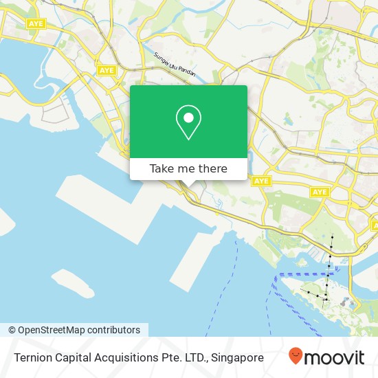 Ternion Capital Acquisitions Pte. LTD. map