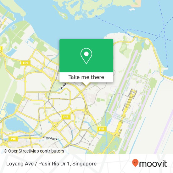 Loyang Ave / Pasir Ris Dr 1 map