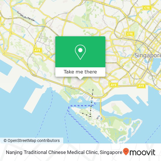 Nanjing Traditional Chinese Medical Clinic map