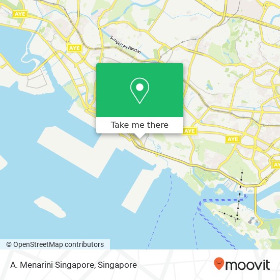 A. Menarini Singapore map