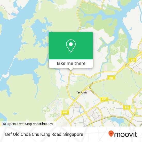 Bef Old Choa Chu Kang Road地图