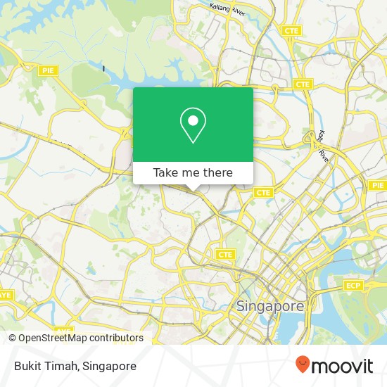 Bukit Timah map