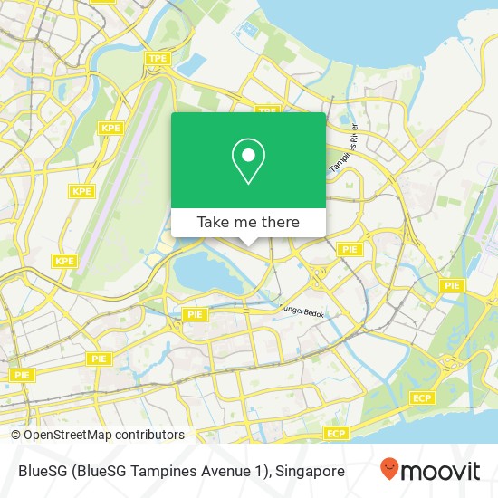 BlueSG (BlueSG Tampines Avenue 1)地图