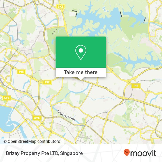 Brizay Property Pte LTD map