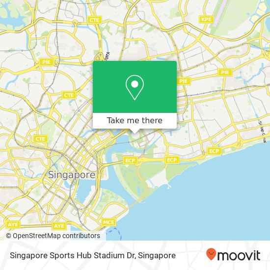 Singapore Sports Hub Stadium Dr地图