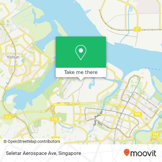 Seletar Aerospace Ave map