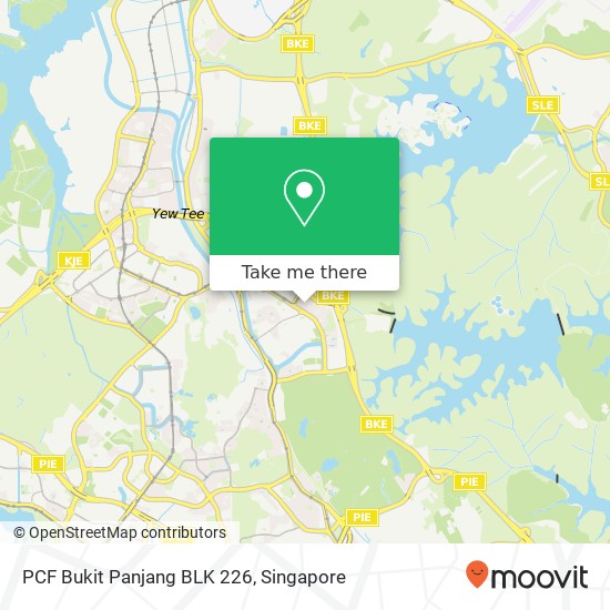 PCF Bukit Panjang BLK 226地图