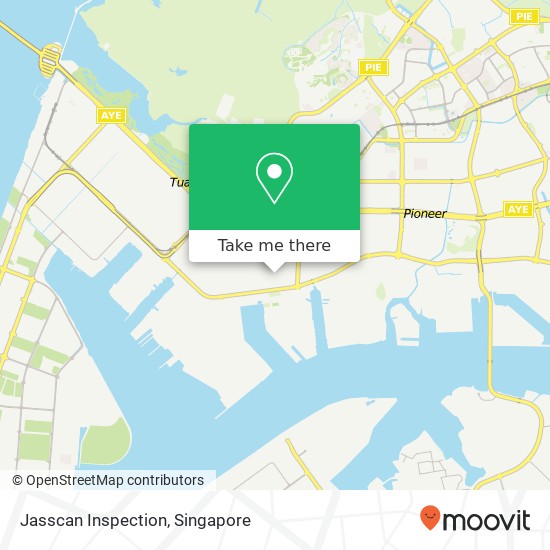 Jasscan Inspection地图