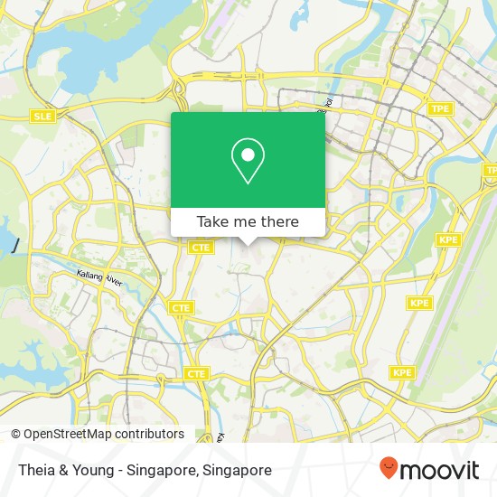 Theia & Young - Singapore map