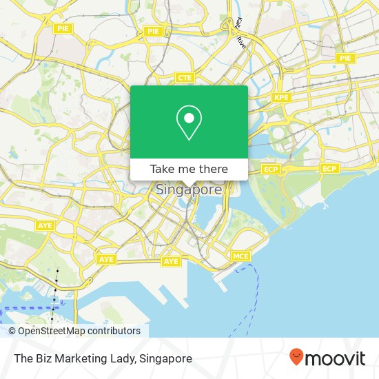 The Biz Marketing Lady map