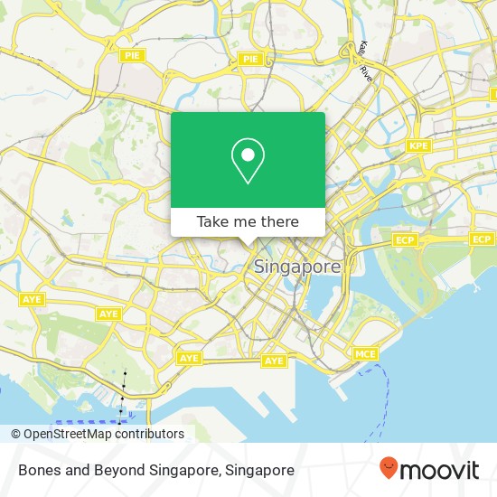 Bones and Beyond Singapore地图