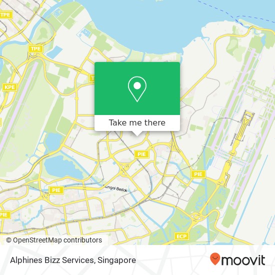 Alphines Bizz Services地图