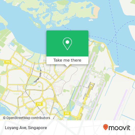 Loyang Ave map