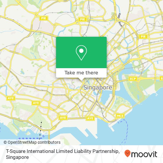 T-Square International Limited Liability Partnership地图