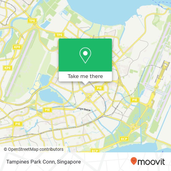 Tampines Park Conn地图