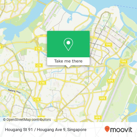 Hougang St 91 / Hougang Ave 9地图